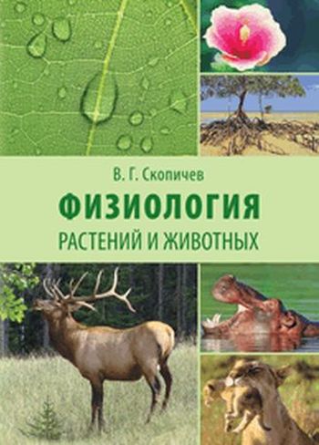 Учебное пособие: Физиология растений